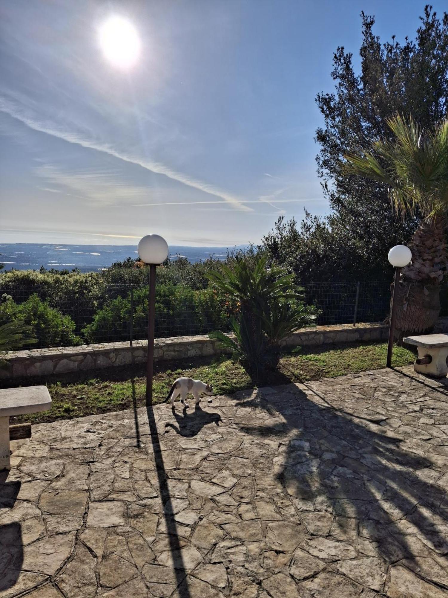 Maremonti Apartment